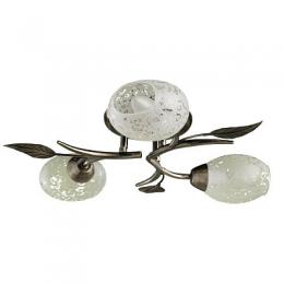 Изображение продукта Потолочная люстра Arte Lamp Anetta 